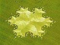 Crop Circles 03